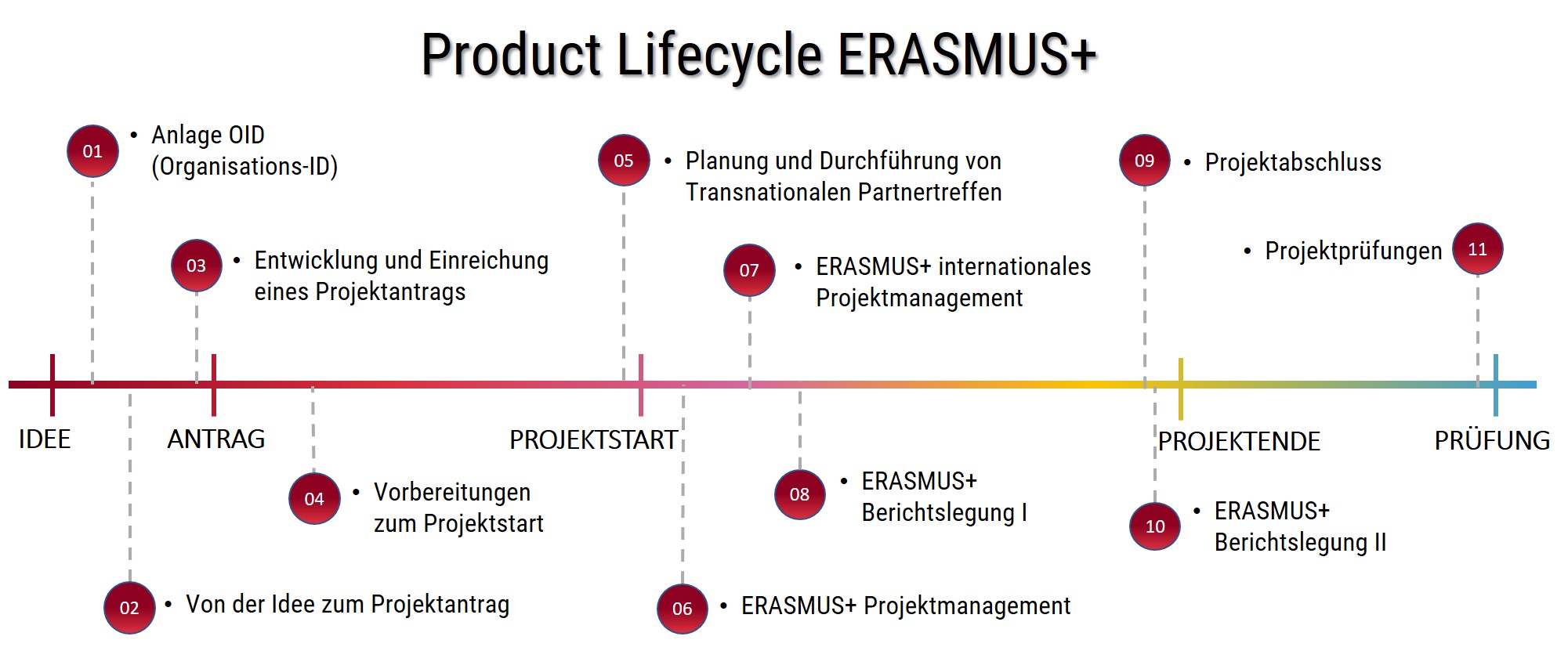 Project Lifecycle